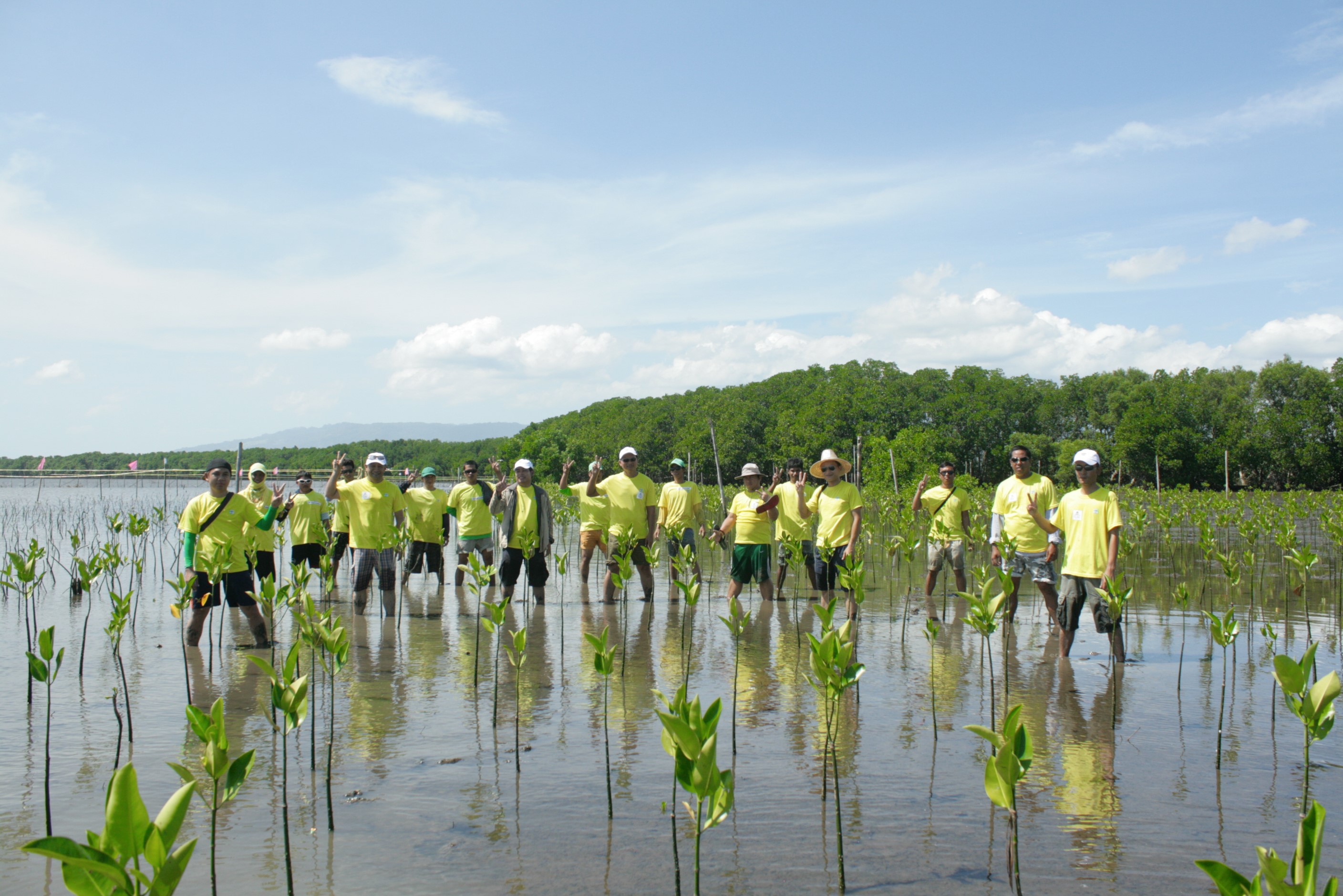 CPF : Mangrove Tree Planting